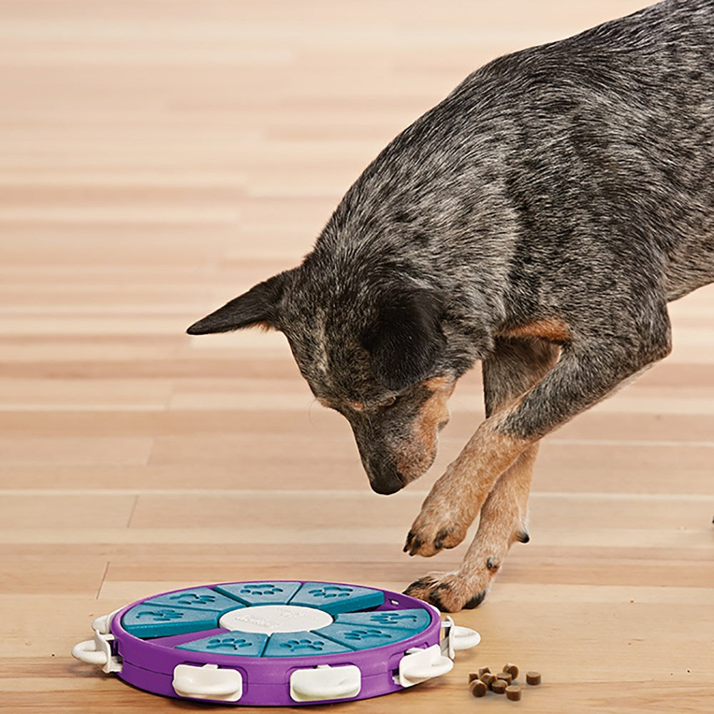 Outward Hound Dog Twister