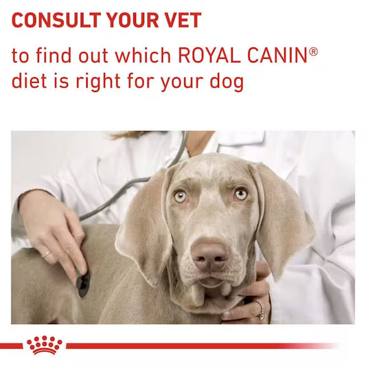 Royal Canin Neutered Adult Large Dog