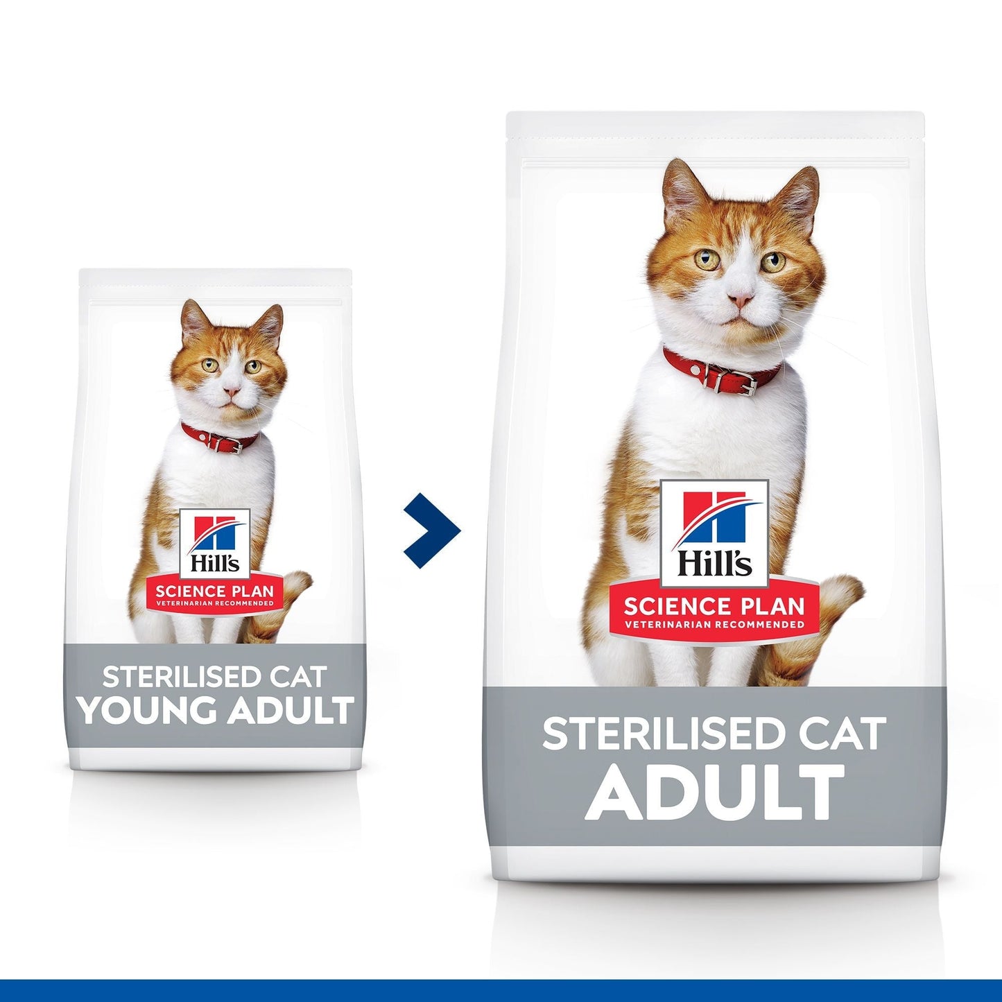 Hill's Science Plan Sterilised Cat Adult Fôr