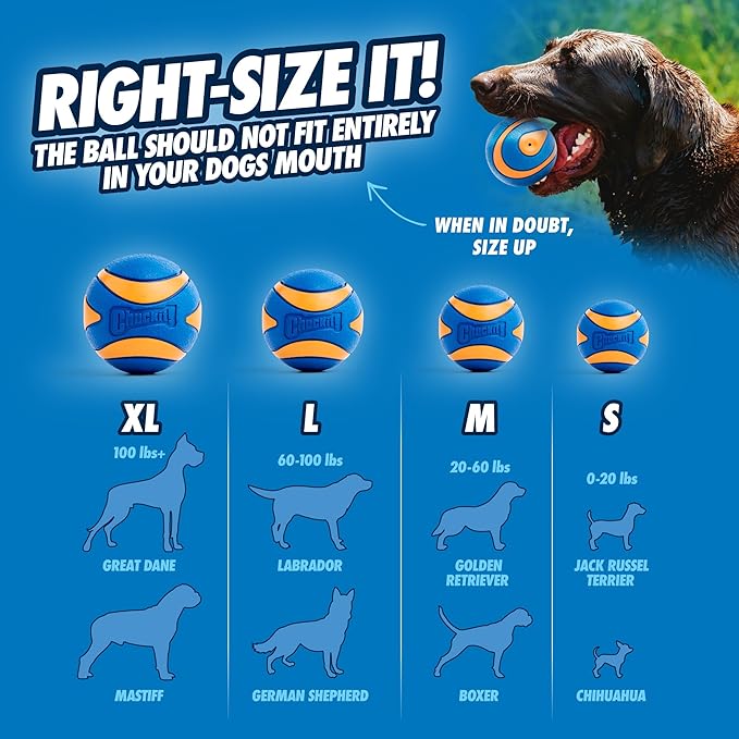 Chuckit! Ultra Squeaker Ball Medium 2-pk