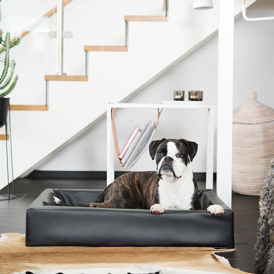 Dogman Bia Seng Klassisk kvadrat
