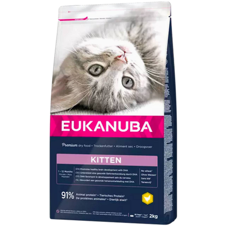 Eukanuba Cat Kitten 10 kg