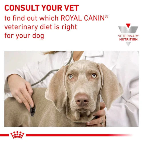 Royal Canin Anallergenic Small Dog