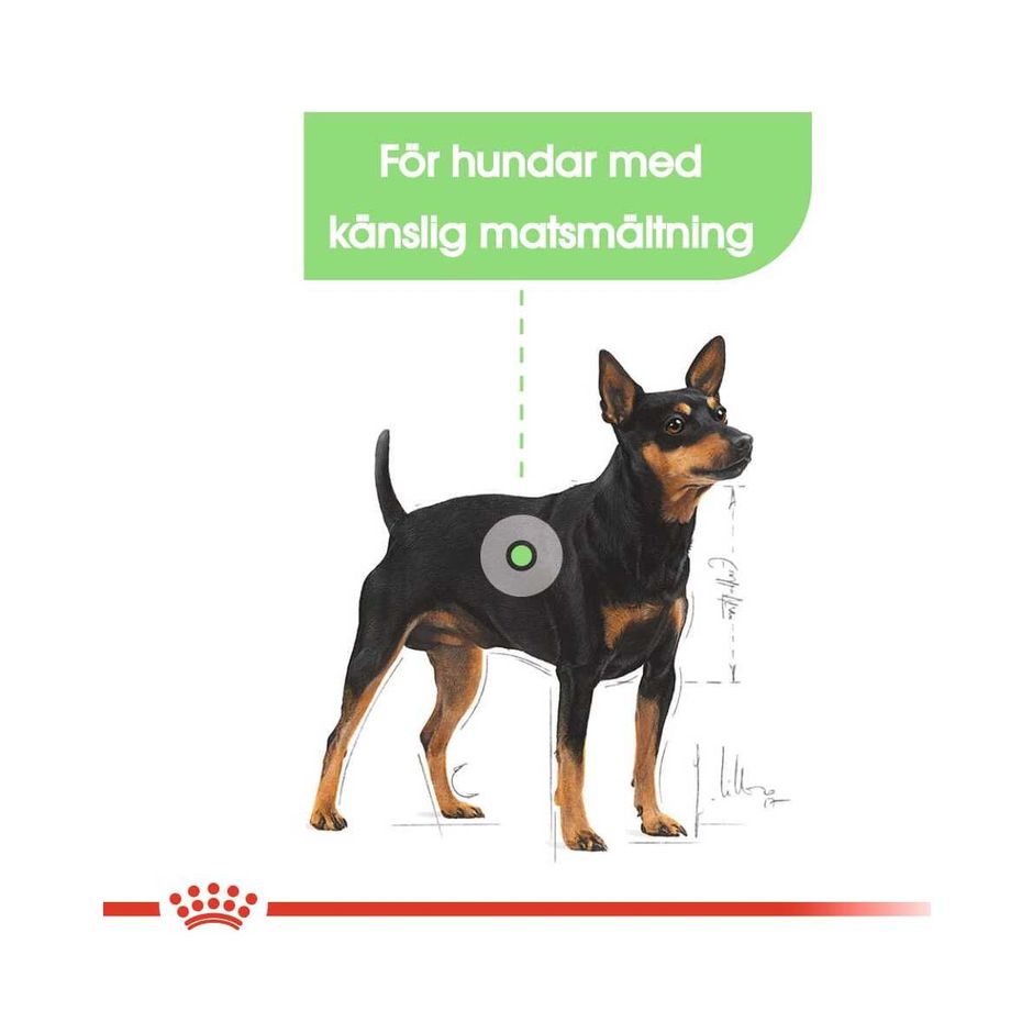 Royal Canin Mini Digestive Care