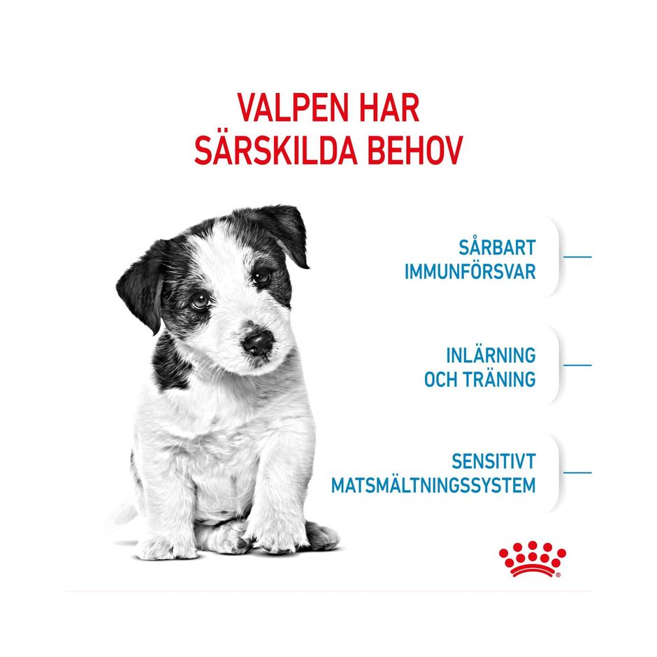 Royal Canin Mini Junior