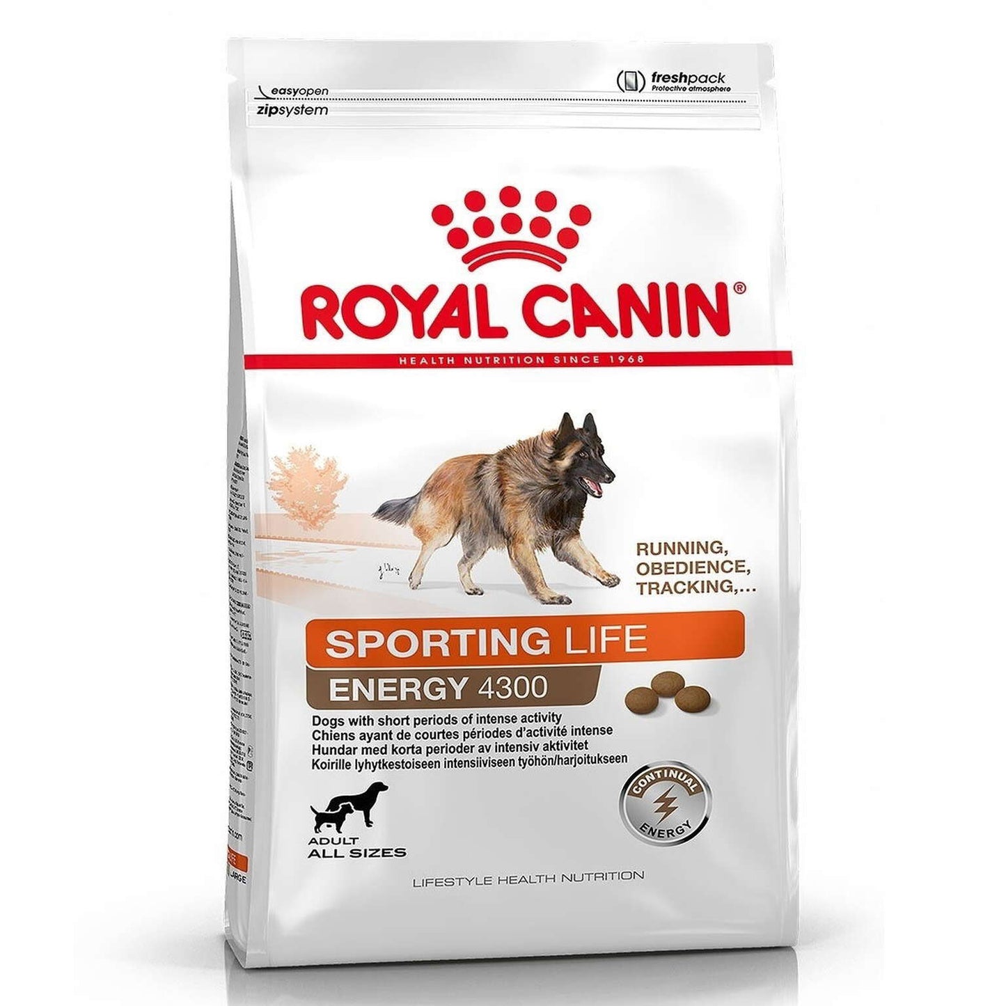 Royal Canin Sporting Life Trail 4300 15 kg