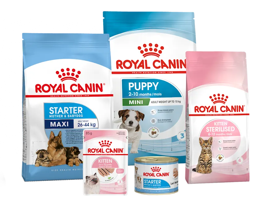 20% på Royal Canin Valp & Kattungemat