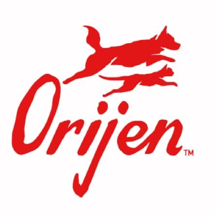 Orjien