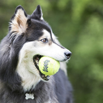 Kong AirDog Squeakair Ball Medium 3-pack