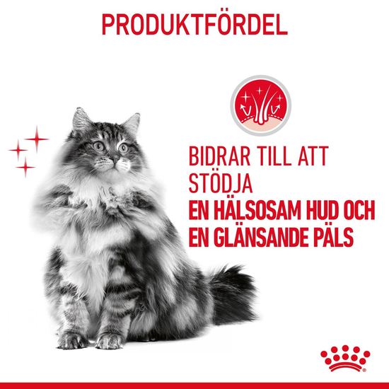Royal Canin Hair & Skin Care 10 kg – Kattfoder för Hud & Päls
