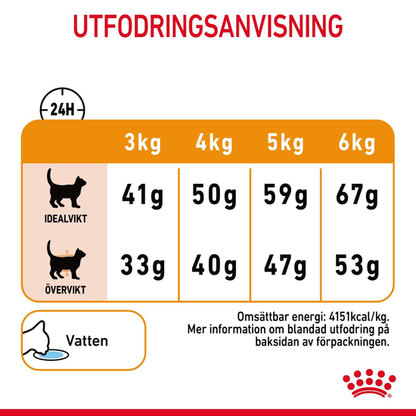 Royal Canin Hair & Skin Care 10 kg – Kattfoder för Hud & Päls