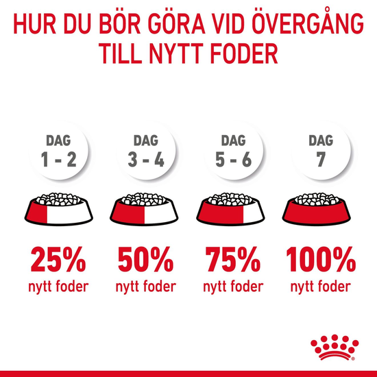 Royal Canin Hair & Skin Care 10 kg – Kattfoder för Hud & Päls