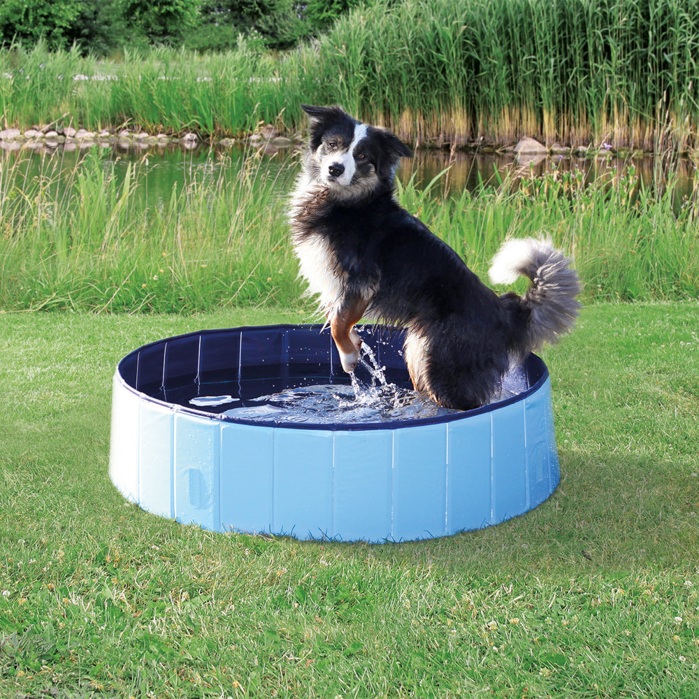 Dogman Hundpool 160cm blå