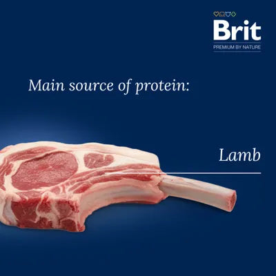 Brit Premium by Nature Sensitive med lamm