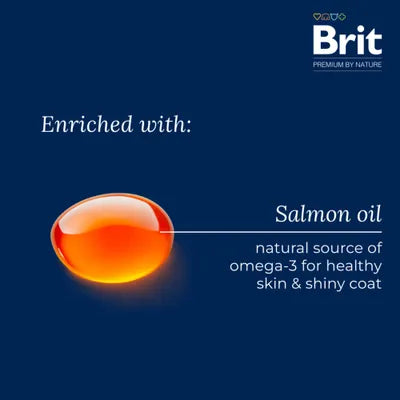 Brit Premium by Nature Sensitive med lamm