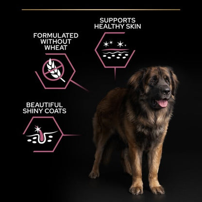 Pro Plan Pro Plan Medium Adult Sensitive Skin Dog Food