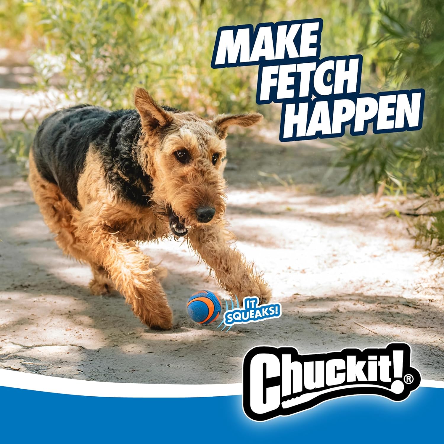 Chuckit! Ultra Squeaker Ball Medium 2-pack