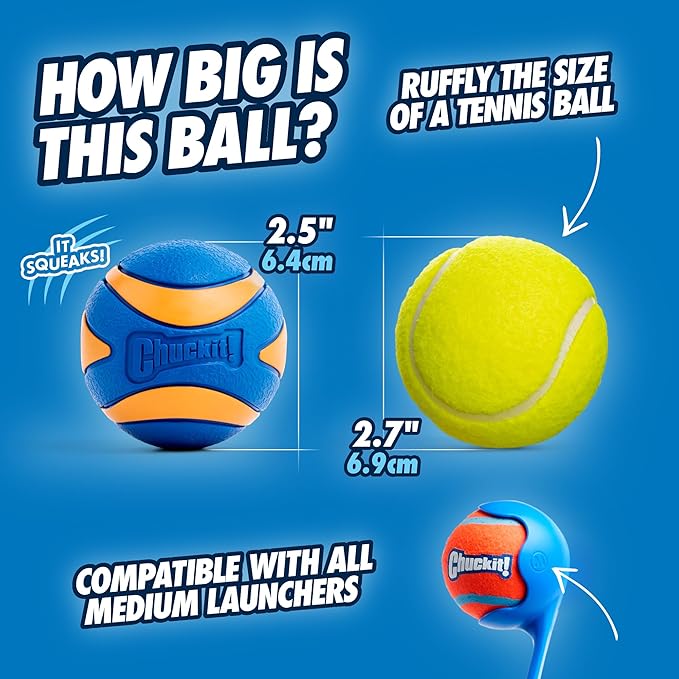 Chuckit! Ultra Squeaker Ball Medium 2-pack