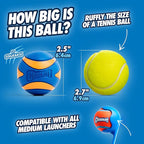 Chuckit! Ultra Squeaker Ball Medium 2-pack