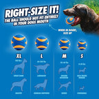 Chuckit! Ultra Squeaker Ball Medium 2-pack
