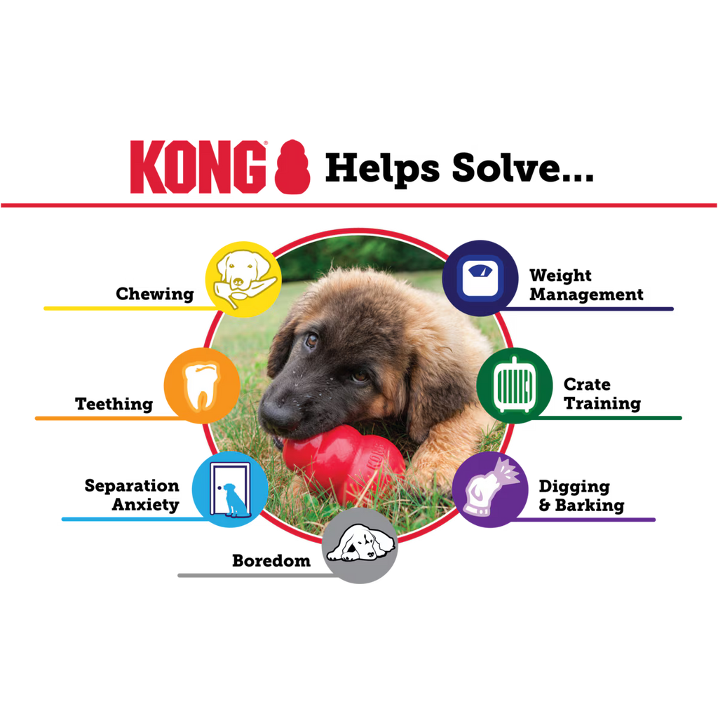 KONG Classic Large Hundleksak