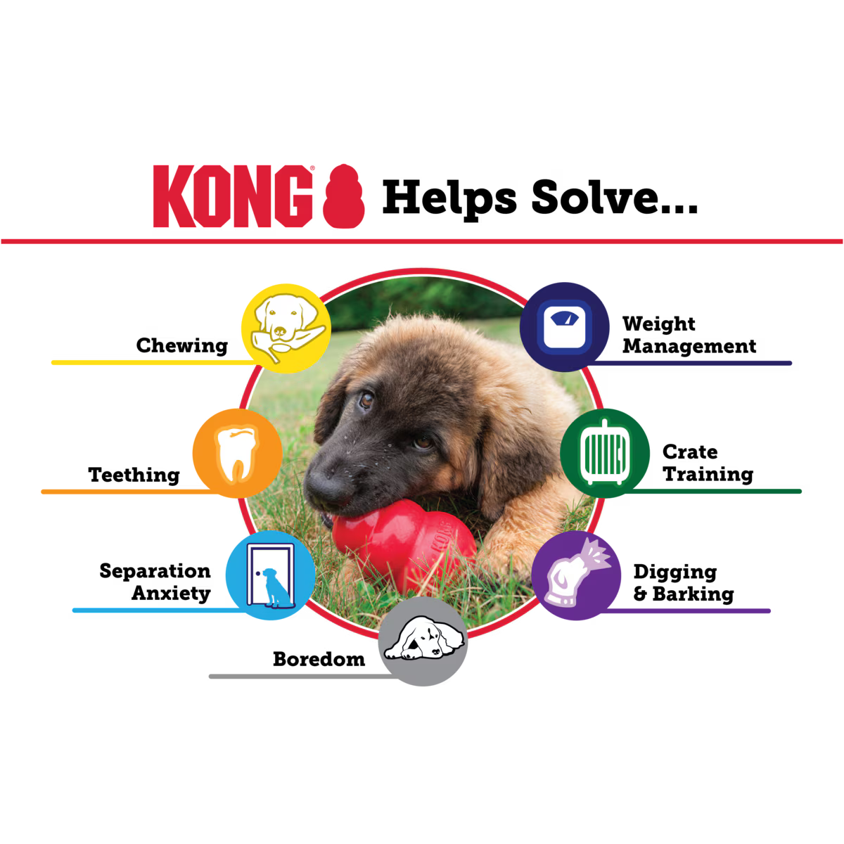 KONG Classic Large Hundleksak