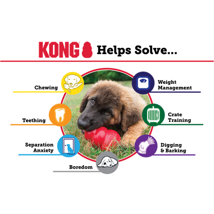 KONG Classic Large Hundleksak