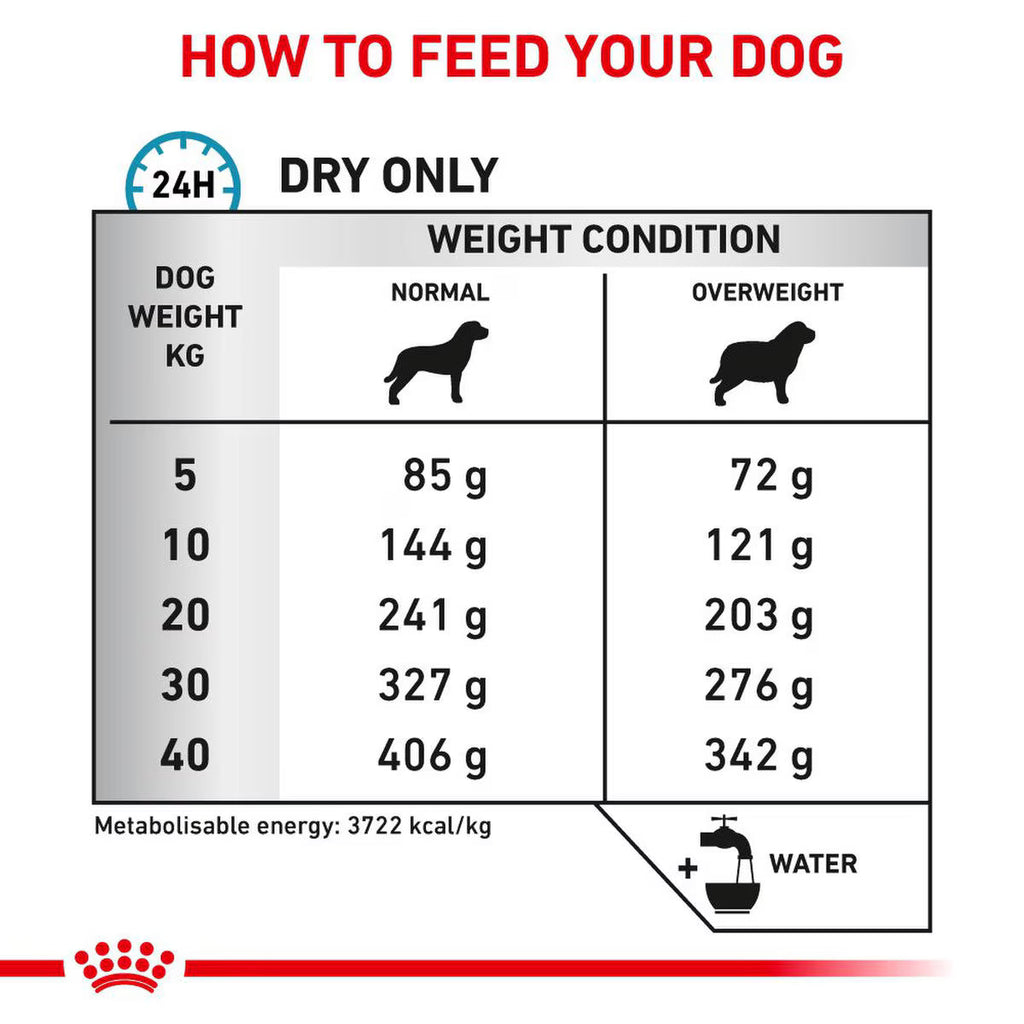 Eukanuba Active Adult Large Breed Chicken 12 kg