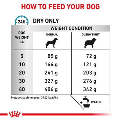 Eukanuba Active Adult Large Breed Chicken 12 kg