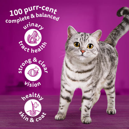 WHISKAS 1+ Adult Cat Dry Food Chicken 1,9 kg