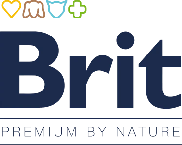 Brit