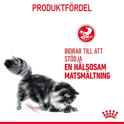Royal Canin Digestive Care