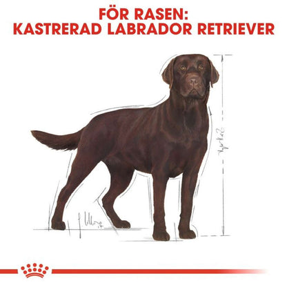 Royal Canin Sterilised Labrador Retriever