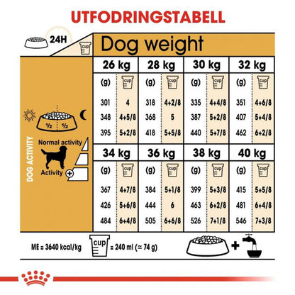 Royal Canin Labrador Retriever Adult