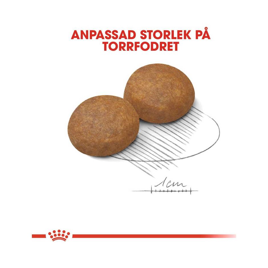 Royal Canin Maxi Adult 5+ 15kg