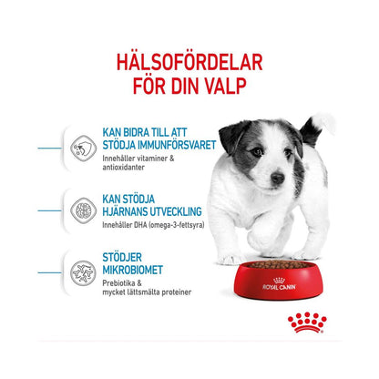Royal Canin Mini Junior