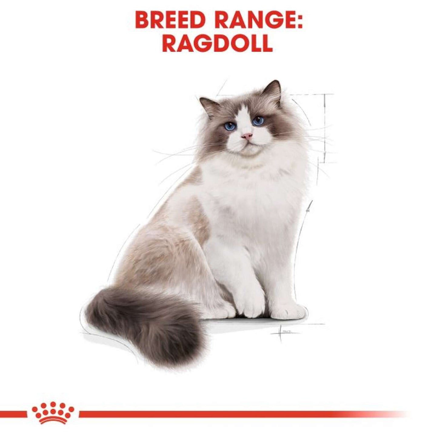 Royal Canin Ragdoll Adult 10kg
