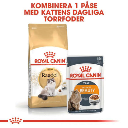 Royal Canin Ragdoll Adult 10kg
