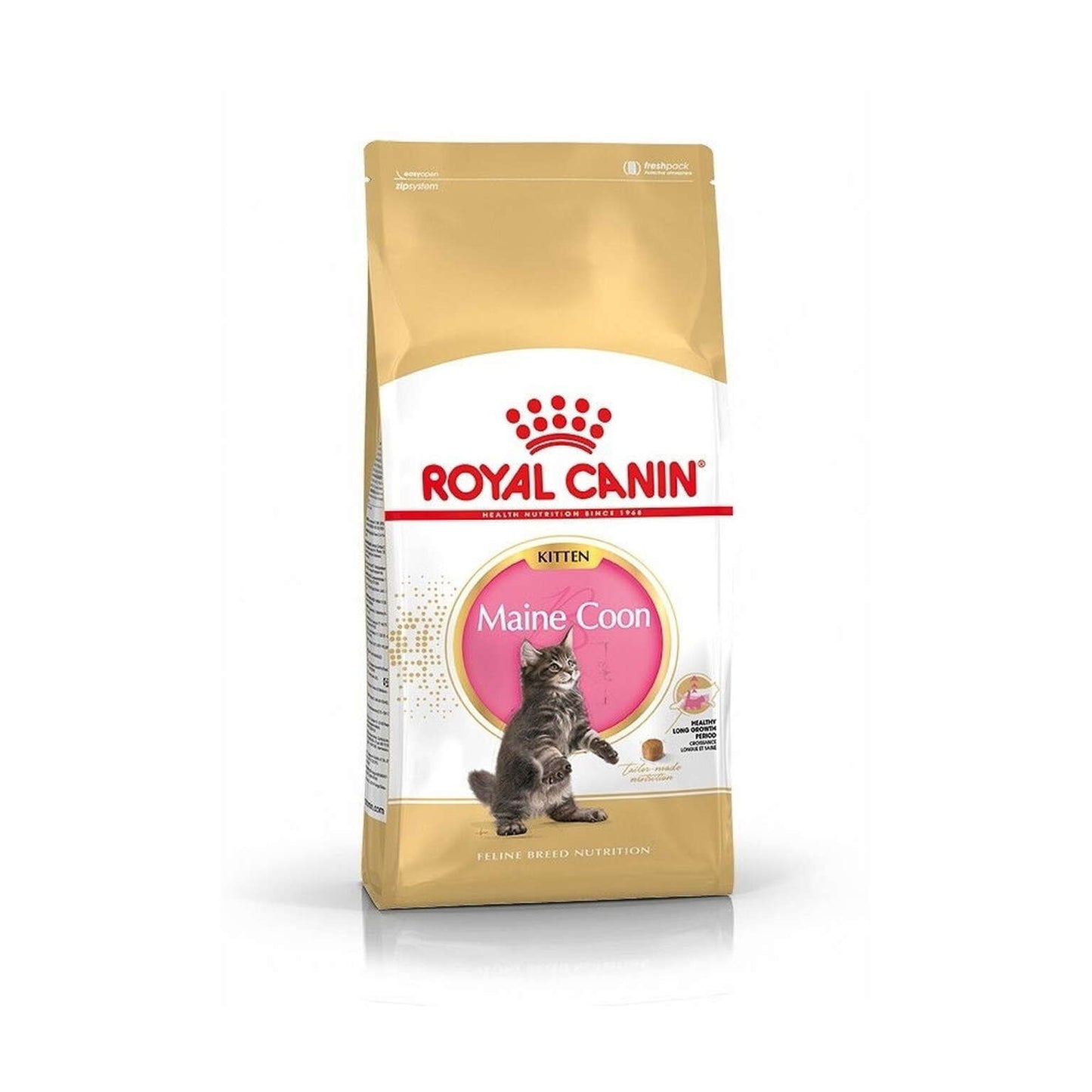 Royal Canin Maine Coon Kitten