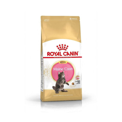 Royal Canin Maine Coon Kitten